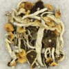 Kubanische Cubensis Pilze kaufen – Psilocybin Premium Produkt