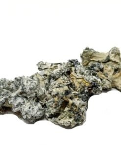 Enigma Mushrooms kaufen – Starke Psilocybin Pilze