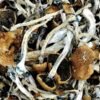 Golden Emperor Magic Mushrooms kaufen – Psilocybinhaltige Premium-Pilze