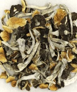 PES Hawaiian Magic Mushrooms kaufen - Starke Visuelle Halluzinationen