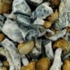 Penis Envy Chubs Magic Mushrooms kaufen